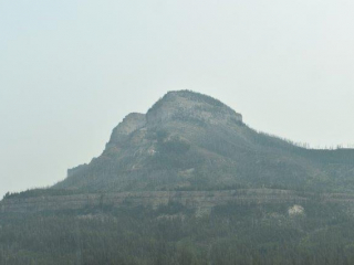 DSC_0242