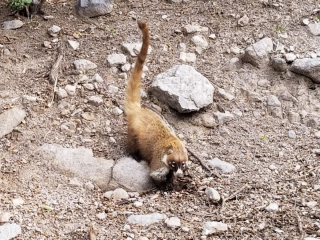 20240226_151632_resized