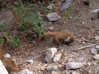 20240226_151638_resized