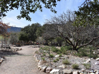 Ash Canyon Bird Sanctuary