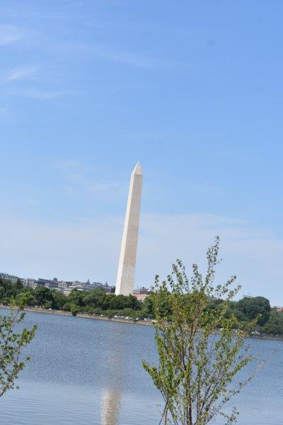 DSC_1666