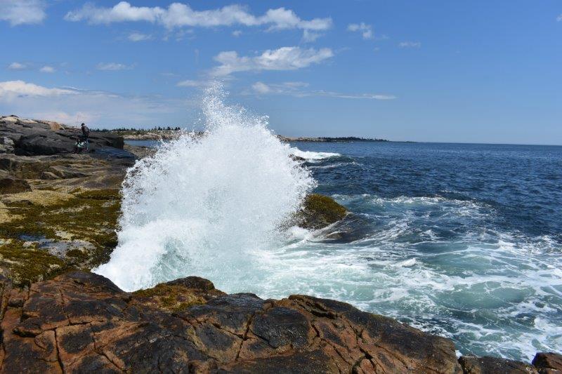 DSC_2612