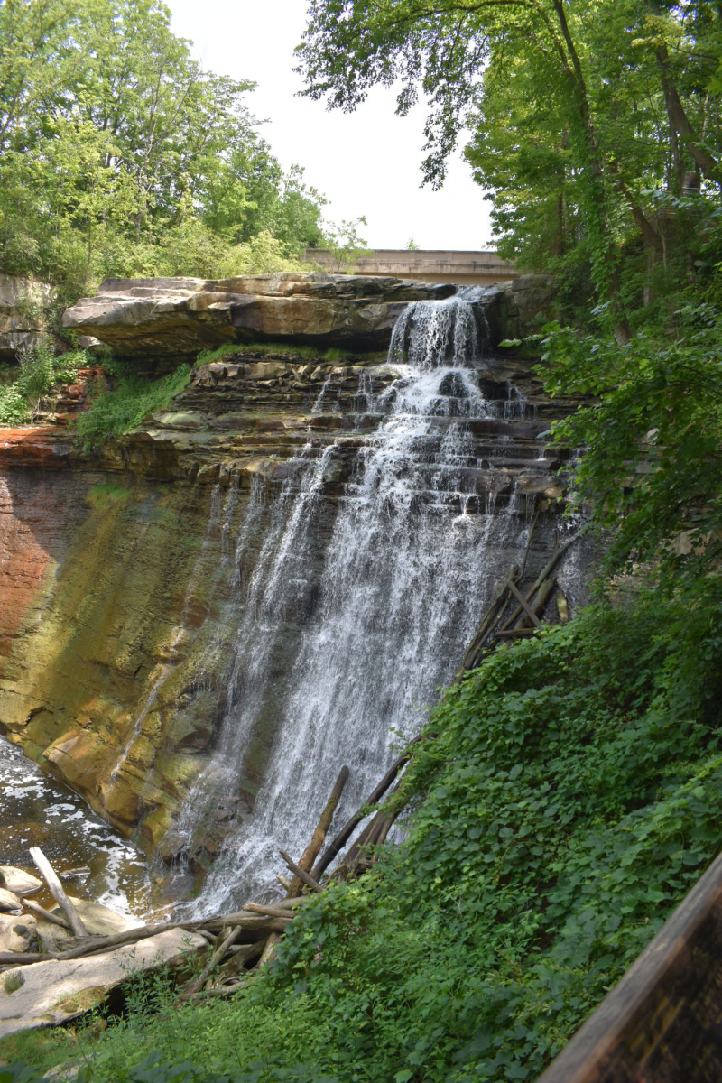 DSC_2868-2